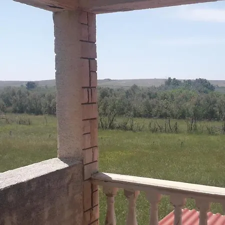 Curic Apartmán Povljana